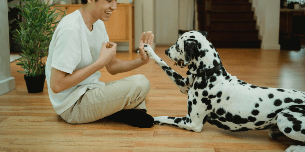 10 Possible Reasons for Weight Loss in Canine Companions