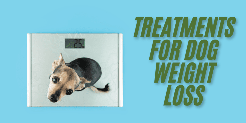 Treatments for Dog Weight Loss