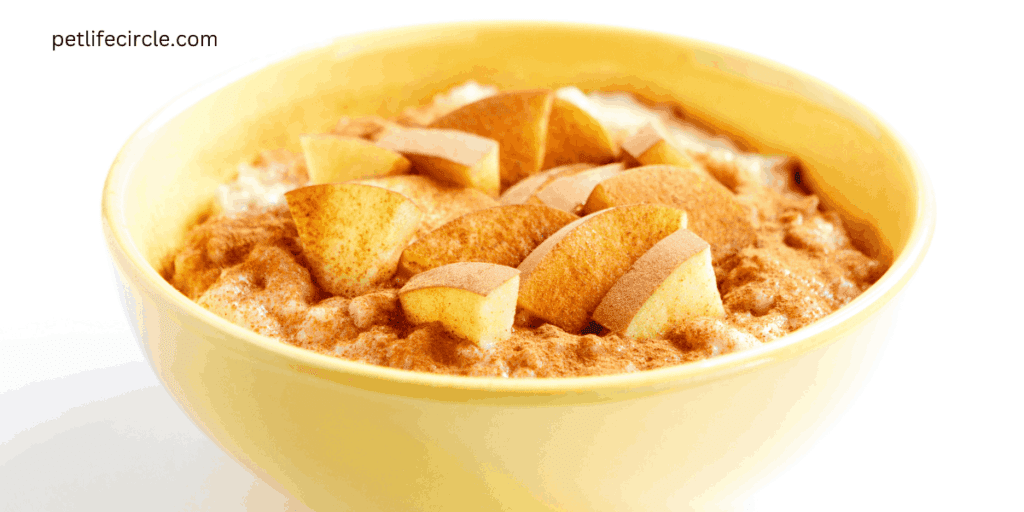 Flavorful Mix-ins for your dog Oatmeal