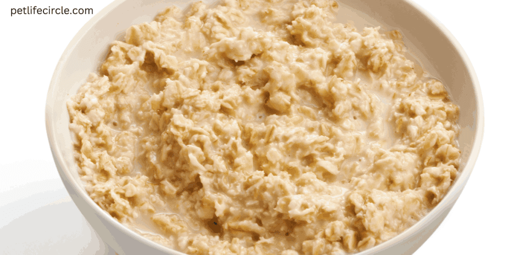  dog Oatmeal
