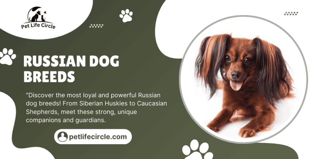Russian Dog Breeds